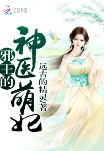 《邪王的神医萌妃》小说封面