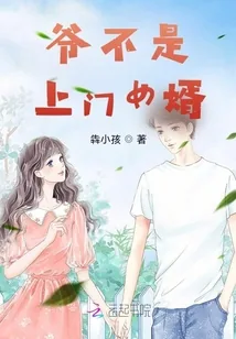 《爷不是上门女婿》小说封面