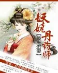 《妖娆丹药师：傻王追妻》小说封面