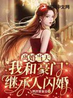 《离婚当天，我和豪门继承人闪婚了》小说封面
