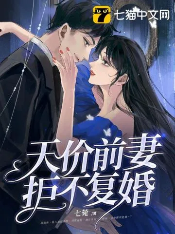 《天价前妻拒不复婚》小说封面