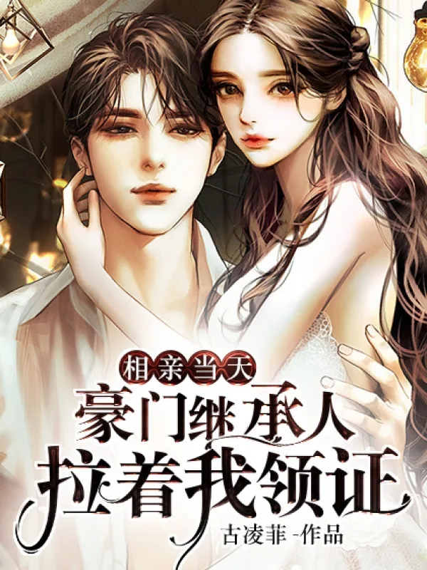 《相亲当天,豪门继承人拉着我领证》小说封面