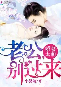 《你是我的小小星辰》小说封面