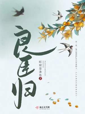 《良臣归》小说封面