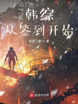 《韩综从签到开始》小说封面