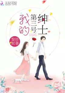 《我的第三号绅士》小说封面