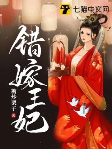 《错嫁王妃》小说封面