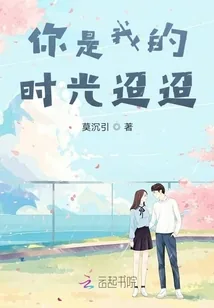 《你是我的时光迢迢》小说封面