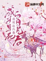 《成为早死白月光后我被迫内卷》小说封面