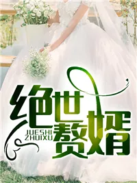 《至尊神婿叶昊》小说封面