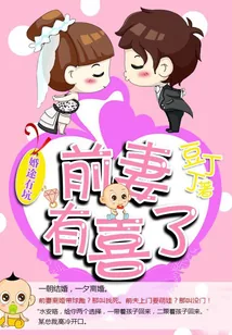《前妻有喜了》小说封面