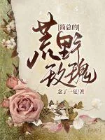 《简总的荒野玫瑰》小说封面