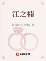 《江之楠》小说封面