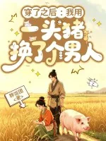 《穿了之后:我用一头猪换了个男人》小说封面