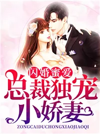 《盛莞莞凌霄》小说封面