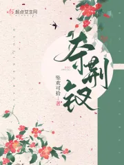 《夺荆钗》小说封面