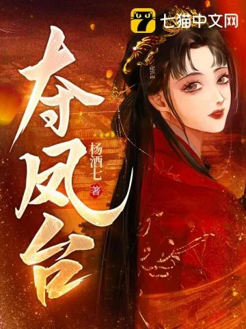 《夺凤台》小说封面