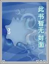 《火影传奇之我的写轮眼》小说封面