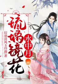 《琉璃镜花水中月》小说封面