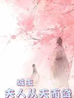 《城主，夫人从天而降》小说封面