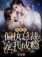 《夏初薇霍云霆》小说封面