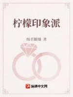 《柠檬印象派》小说封面