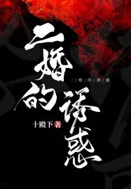 《二婚的诱惑》小说封面