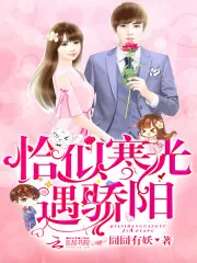 《恰似寒光遇骄阳》小说封面
