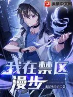 《我在禁区漫步》小说封面