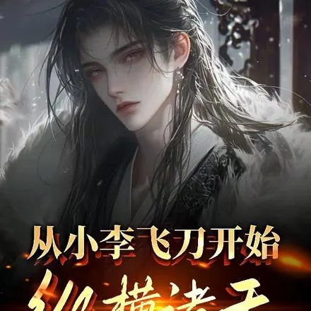 《从小李飞刀开始纵横诸天》小说封面