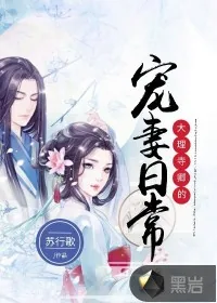 《大理寺卿的宠妻日常》小说封面