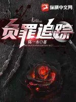 《负罪追踪》小说封面