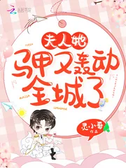 《夫人她马甲又轰动全城了》小说封面