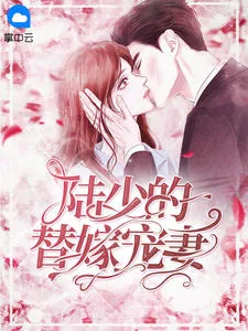 《陆总的第一宠妻》小说封面