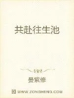 《共赴往生池》小说封面