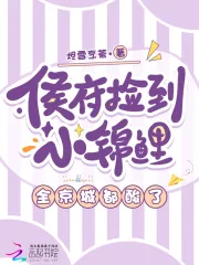 《侯府捡到小锦鲤,全京城都酸了》小说封面
