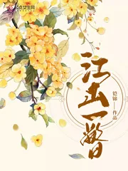 《江山一瞥》小说封面