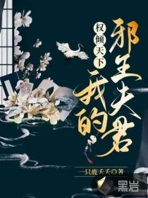 《权倾天下，我的邪王夫君！》小说封面