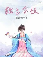 《独占金枝》小说封面