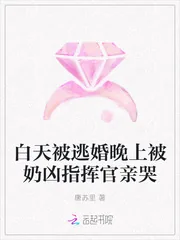《白天被逃婚晚上被奶凶指挥官亲哭》小说封面