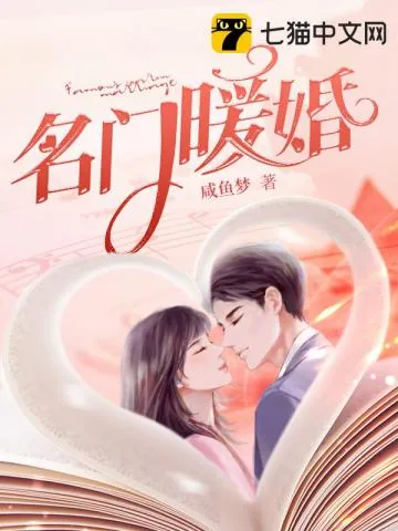 《名门暖婚》小说封面