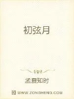 《初弦月》小说封面