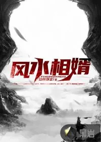 《风水相婿》小说封面