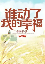 《谁动了我的幸福》小说封面