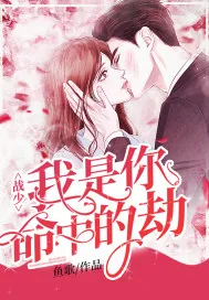 《战少，我是你命中的劫》小说封面