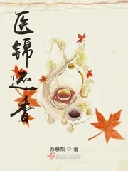 《医锦还香》小说封面