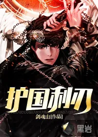 《护国利刃》小说封面