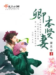 《南宫丞白晚舟》小说封面
