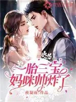 《一胎三宝妈咪帅炸了》小说封面