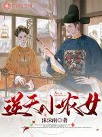 《逆天小农女》小说封面